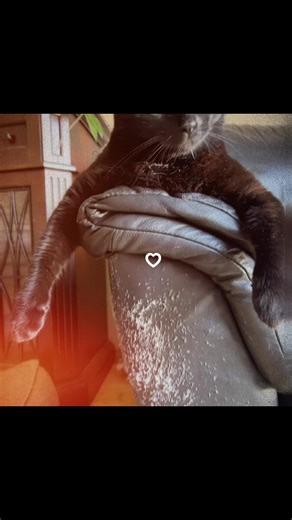 I love my cat 🐱:)