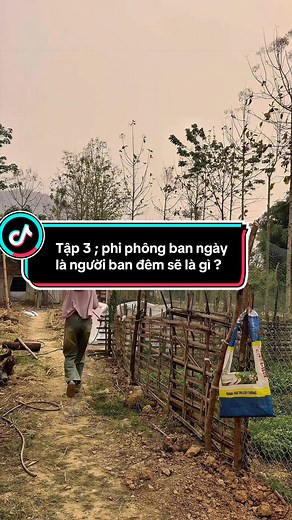 Tập 3: Phi Phông Ban Ngày Là Người Ban Đêm