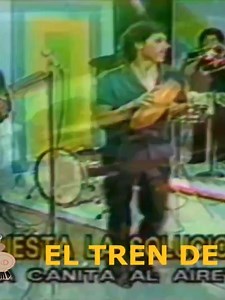 109K views · 1.8K reactions | Orquesta La Solución - Una Canita Al Aire Canta: Jaime Megui Rivera | SALSA PA' GOZAR | Facebook