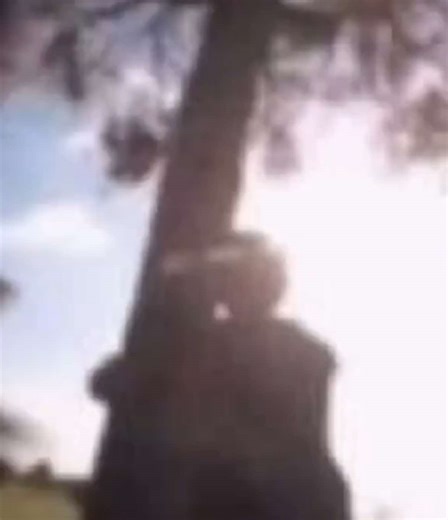 Exploring 16 Years of Skins Interview Videos