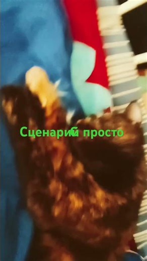 22 мая 2025 г.