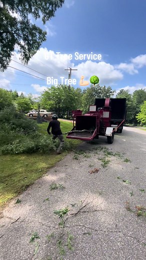 #treeservice #treework #removetree