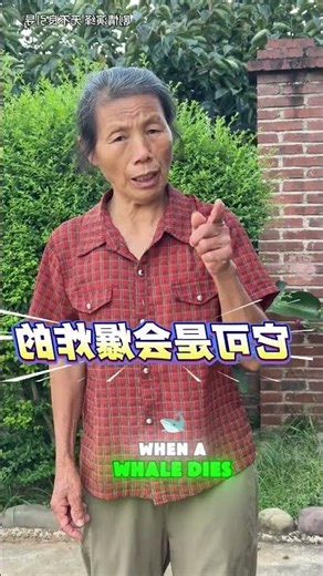 😲💥🐋Oh my gosh—that’s an exploding fish!#shorts