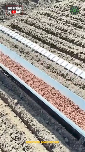 92K views · 184 reactions | Introducing the simple seed sowing tool...