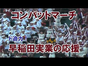 早稲田実業 ド迫力の応援『コンバットマーチ』2024/8/17 甲子園アルプス