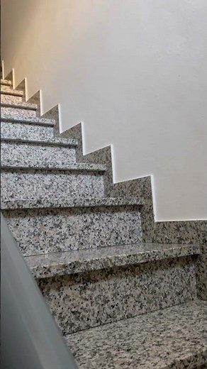 My lion king 👑 #simba #cat #viral #tiktok #trending #animals #pets #catlovers #fyp #loyalty #cute