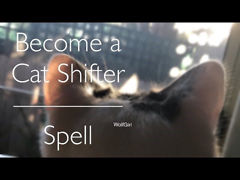 Cat Shifter Spell