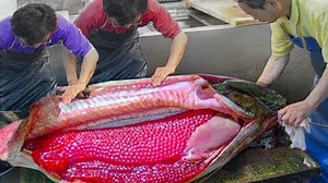 11 reactions | TOP 15 Most Unusual Foods in the World | T1 Mysterious & Discovery | Facebook