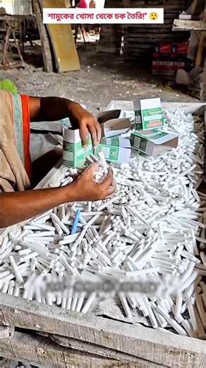 Bangladesh Amazing Chalk Making Process from Snail Shell 🐚 #ChalkMaking #shorts