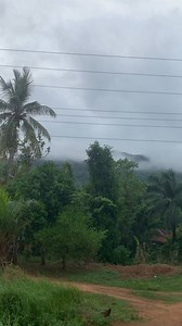 Beautiful mountains and Forest | Cross River Forest