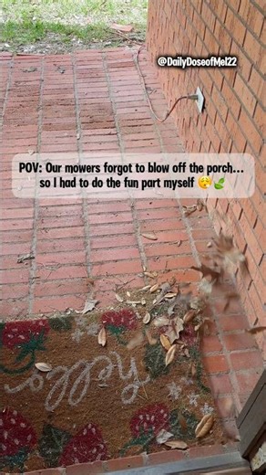 When the Mower Forgets the Porch 🍃 Satisfying Leaf Blower Reset #shorts