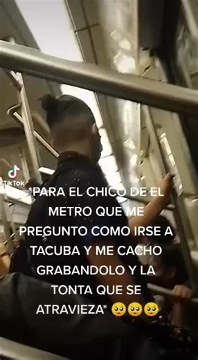 Subway Train Insights: A Look Inside Public Transport