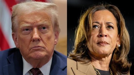Trump revokes Kamala Harris' Secret Service detail, White House official confirms