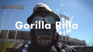 Meet Gorilla Rilla