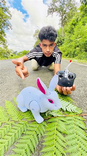 Rc NewBatter Operates Mini Rabbit🐰And Unboxing