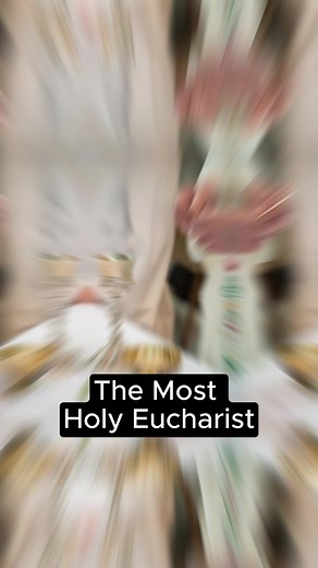 786 reactions · 12 shares | The Most Holy Eucharist. | Catholic Fundamentalism | Facebook