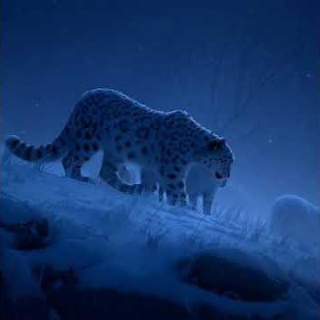 Amazing Snow Leopard Facts You Didn’t Know! 🐆❄️