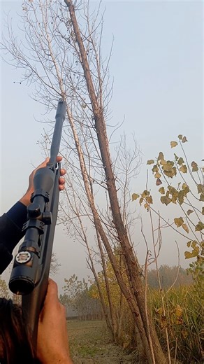 THE ULTIMATE AIR GUN TARGET SHOOTING GUIDE Tips & Tricks"*