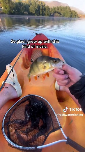 Lumineers>> #fishing #perch