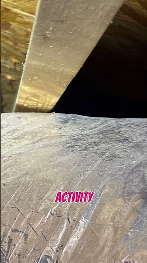 Rodent Tracks on Ductwork: The Fastest Way to Confirm Activity