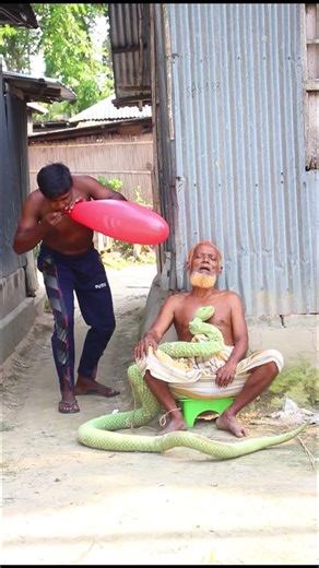 Epic King Cobra Prank on Grandpa 😂🐍 Too Funny!