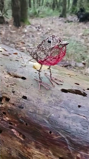 Wire Robin Sculpture❤️#wiresculpture #wirerobin #robinsculpture #robin #robinredbreast #gardenbird