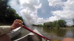Watch a silver carp jump into a canoe