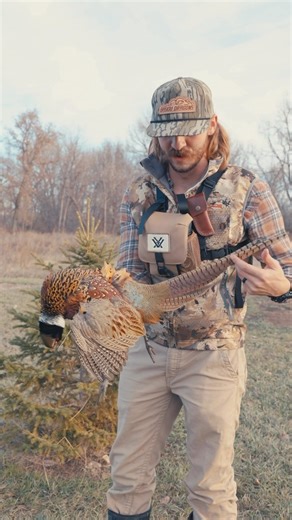 13K views · 198 reactions | Can’t beat a good pheasant  #outdoors #texas #hunting #hunt #waterfowl #ducks #duckhunting #photography | Bayou Dragons | Facebook