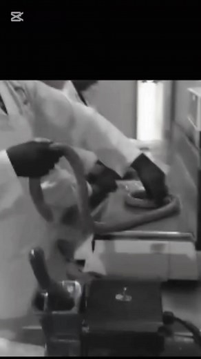 Delta Meat Deli on Reels