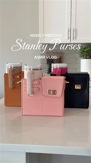 564K views · 1.4K reactions | A Stanley lover’s best friend  Shop this tumbler purse at https://amazon.visitlink.me/gVQ68g #AmazonFinds : sam.shan.shops on Instagram | Amazon.com | Facebook