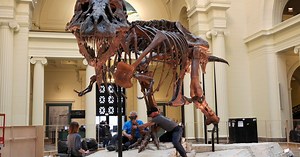 Inheritance money in dispute after death of South Dakota woman who made millions off T. rex sale