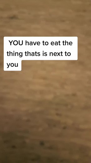 Pipi popo check (@lisebergfans)s videor med Damn so much people used this sound - Alex🦇