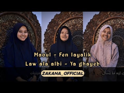 Fadel Chaker - MEDLEY ميدلي فضل شاكر Cover by ZAKANA