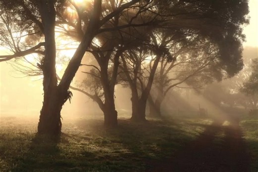 sugar crash #lyrics #song #sugar #crash #sugarcrash #fellgood #lyricssong #fyp #on #surrounding