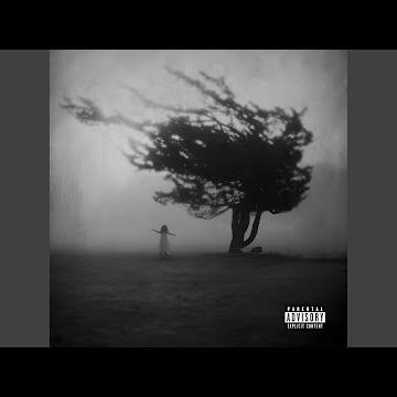 Hallway (Echo Chamber)