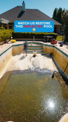 🦠From neglected swap, to a pool ready for summertime!☀️ • • • #POOLology #greenpool #poolservice #poolmaintenance #transformation | POOL-ology