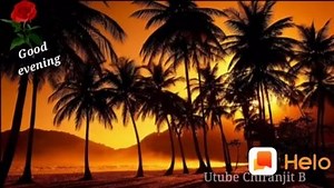 🌹🙏🌹Good Evening Everyone 🌹🙏🌹 | Good morning, afternoon, evening, night images