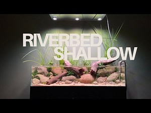 My Biggest Shallow Aquarium Yet!