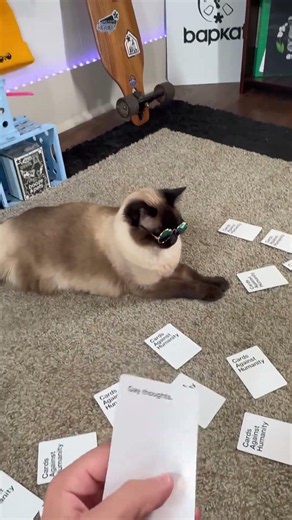 Cards Against Humanity
