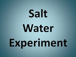Salt Water Experiment