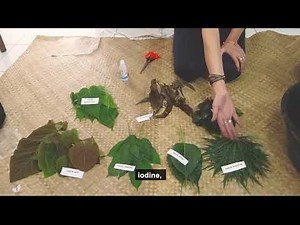 Pembuatan Ecoprint - The Making of Eco-print (Eng Sub)