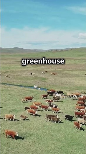 Why Bovaer Could Change the Way We Think About Milk.