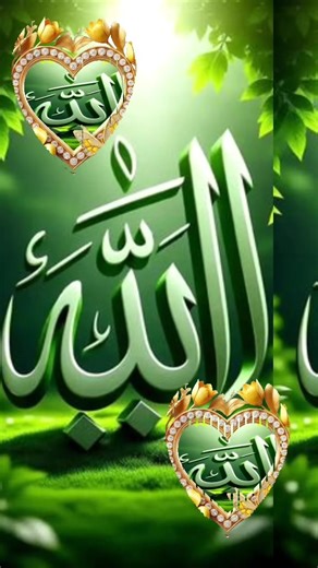 Explora el Programa de Incentivos en Vivo