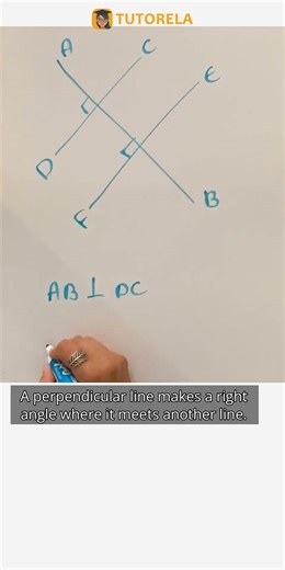 How to Identify Perpendicular Lines in Geometry #Math #ParallelAndPerpendicularLines