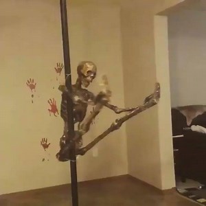 48K views · 833 reactions | 驪We had to.Happy Halloween #polers 驪 . . #xpole #poleislife #skeletons #lol #pole #dance #pumpkins #candy #HappyHalloween #fitness #LA #orange #health #funny #EveryonePoles | X-Pole USA | Facebook