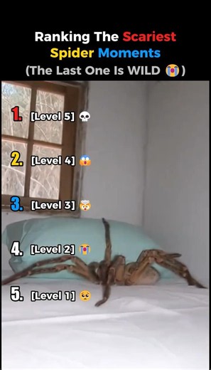 Ranking The Scariest Spider Moments 🕷️ #shorts