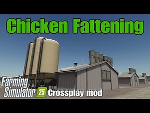 Chicken Fattening / FS25 crossplay mod