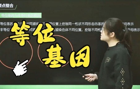 【高中生物-等位基因】等位基因&非等位基因，考点解析！