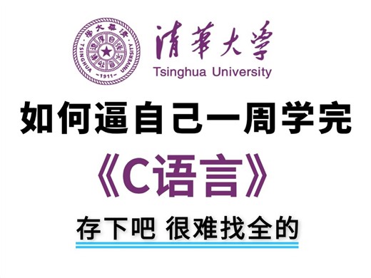 【整整328集】敢称全站最细，2025全新录制C语言零基础入门教程，别再走弯路了，带你一步步从零小白入门到大佬！