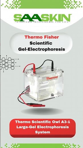 Thermo Fisher Scientific Gel-Electrophoresis | Catalog No - #P82 , #A6BP , #D3-14 , #EC200XL |